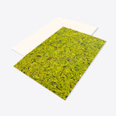 Waldmoos card with envelope A6 / C6